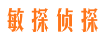 临高市场调查